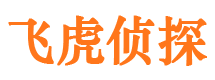 大观外遇调查取证